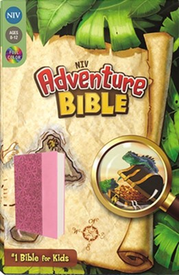NIV ADVENTURE BIBLE/PINK