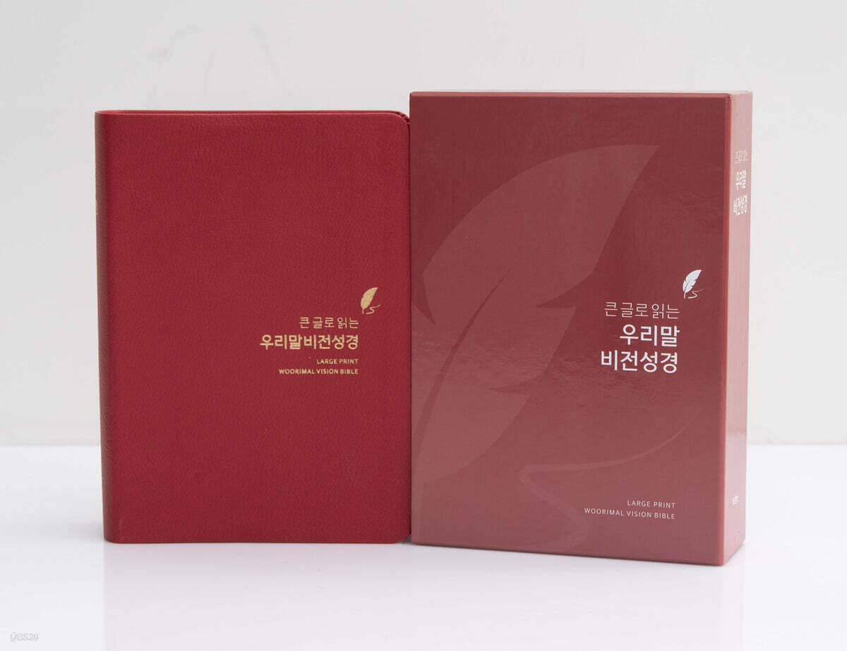 DKV2412큰글우리말비전소단색(5판)-스트로베리레드