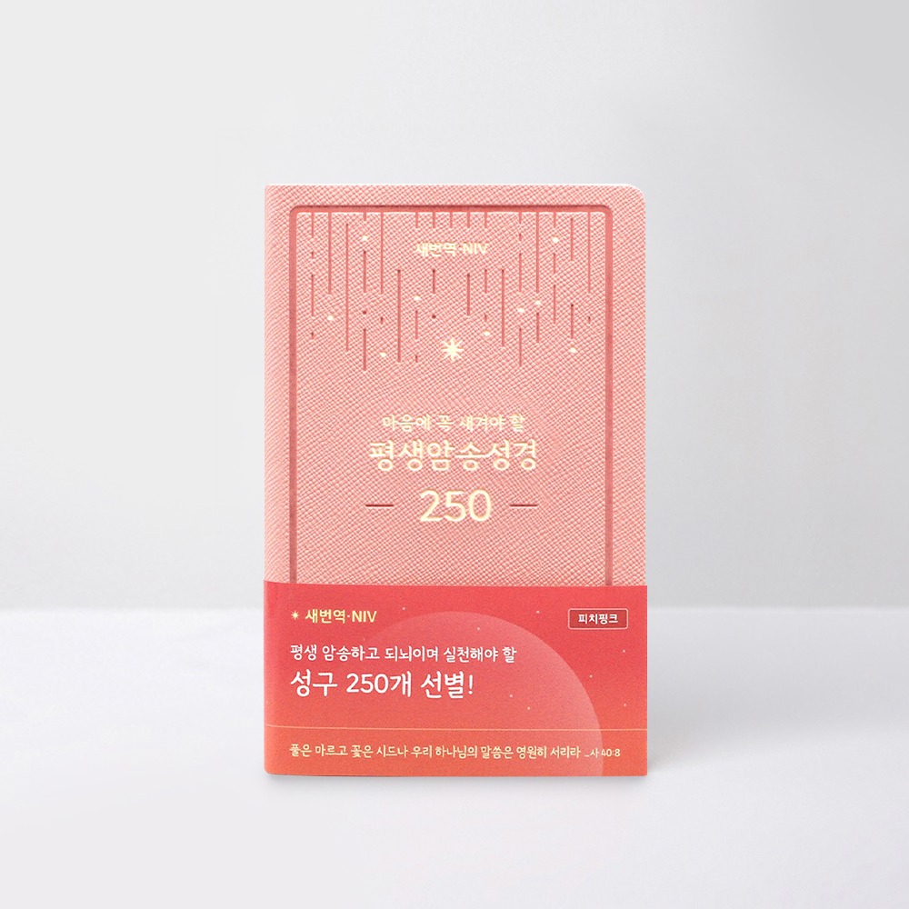 새번역NIV평생암송성경250(피치핑크)
