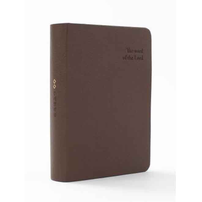 DKV2203우리말특미니단색/무치퍼/브라운